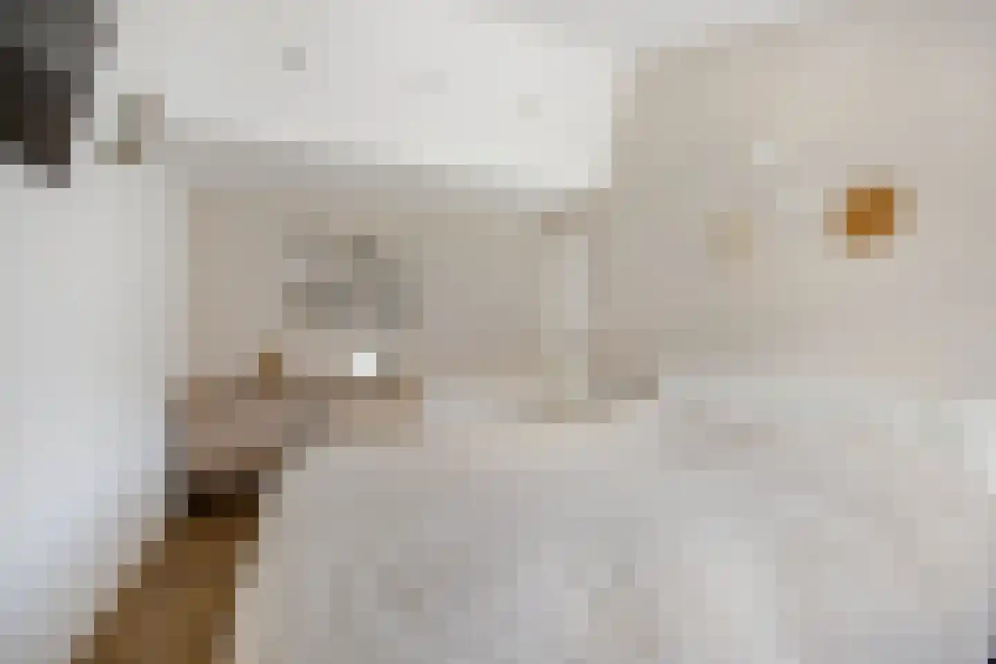 Dotterbloemkreek 81 Leiderdorp thumbnail 14