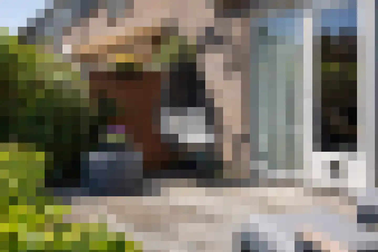 Dotterbloemkreek 81 Leiderdorp thumbnail 24