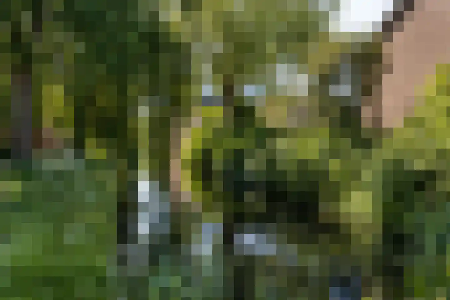 Dotterbloemkreek 81 Leiderdorp thumbnail 30