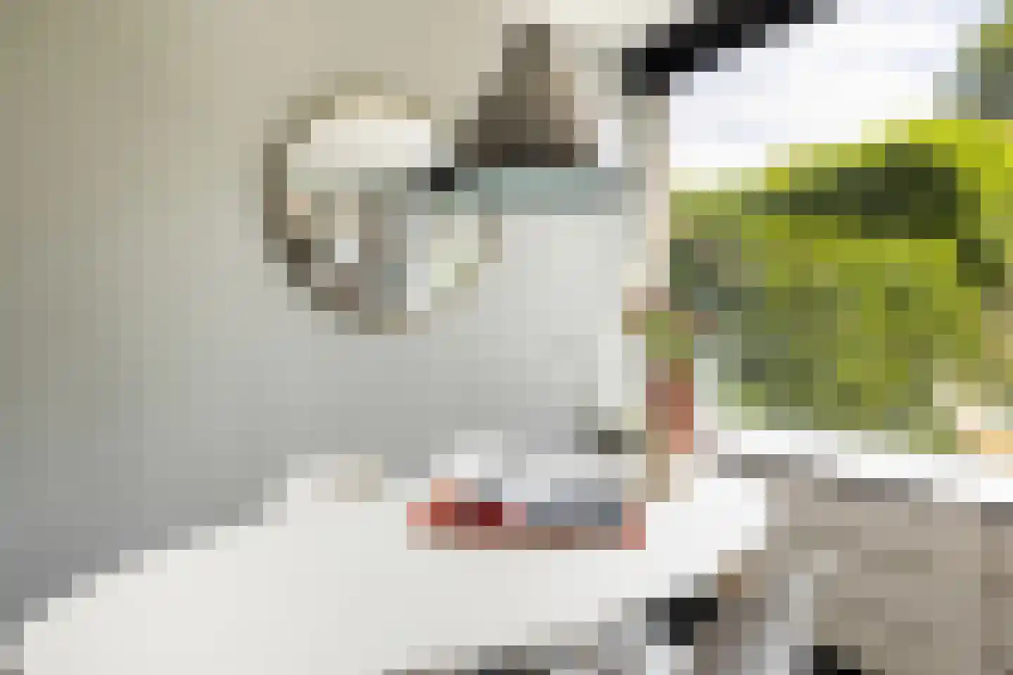 Dotterbloemlaan 11 Baarn thumbnail 12