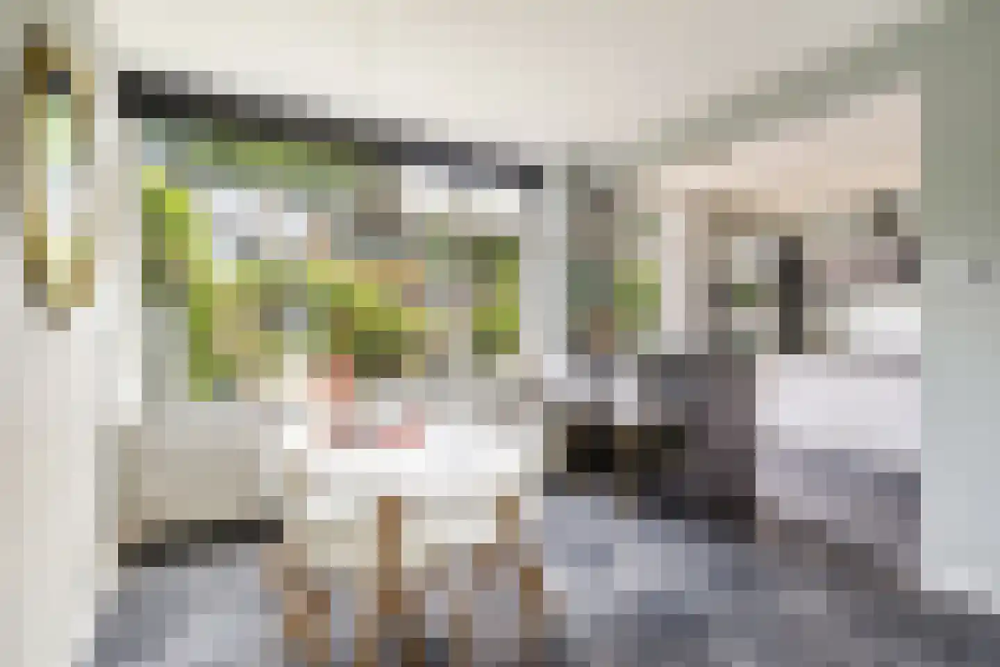 Dotterbloemlaan 11 Baarn thumbnail 13