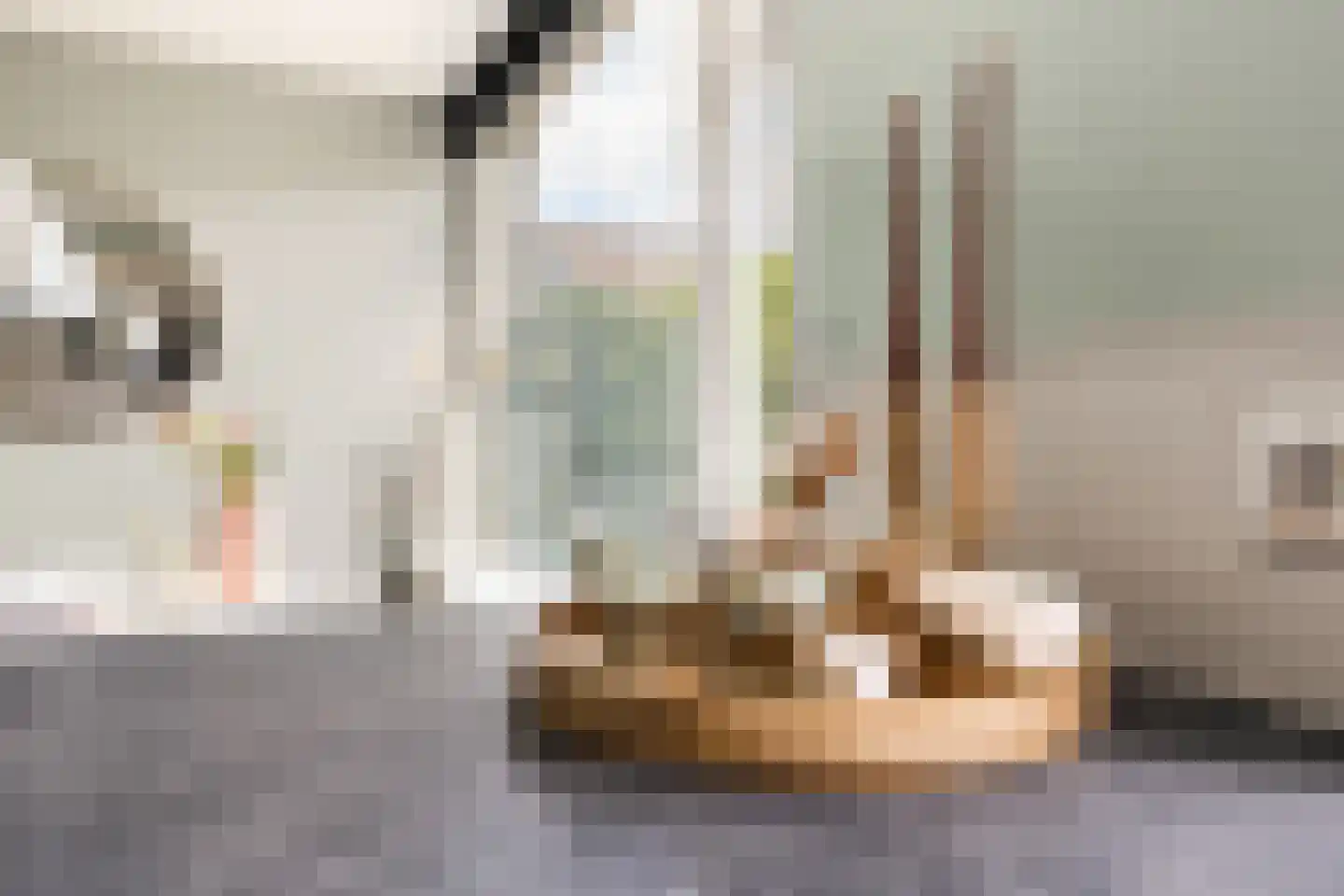 Dotterbloemlaan 11 Baarn thumbnail 15
