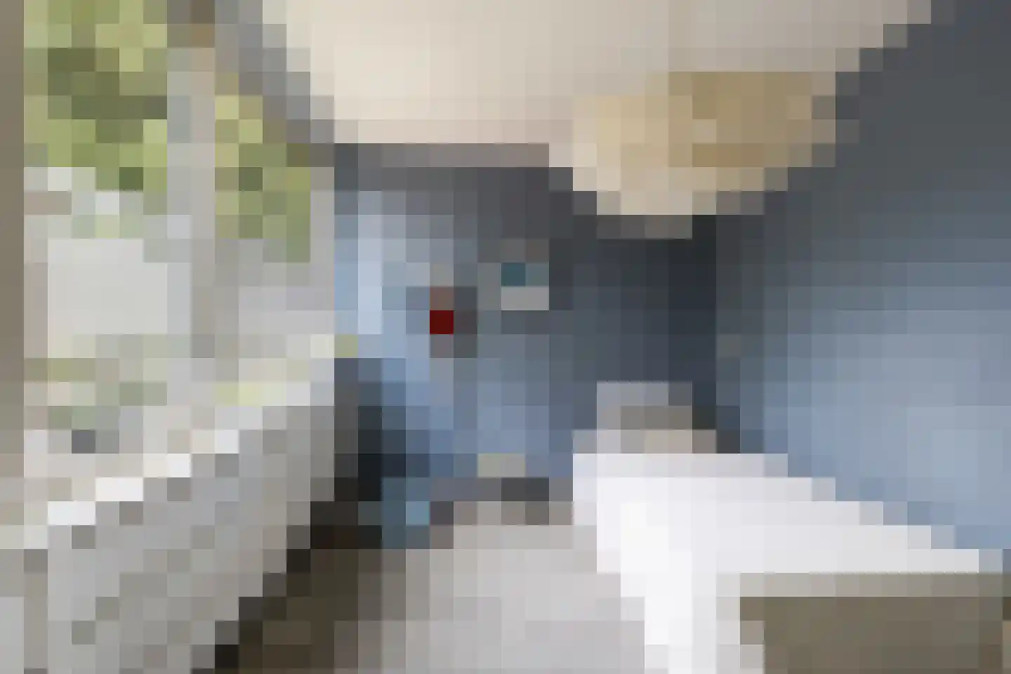 Dotterbloemlaan 11 Baarn thumbnail 21