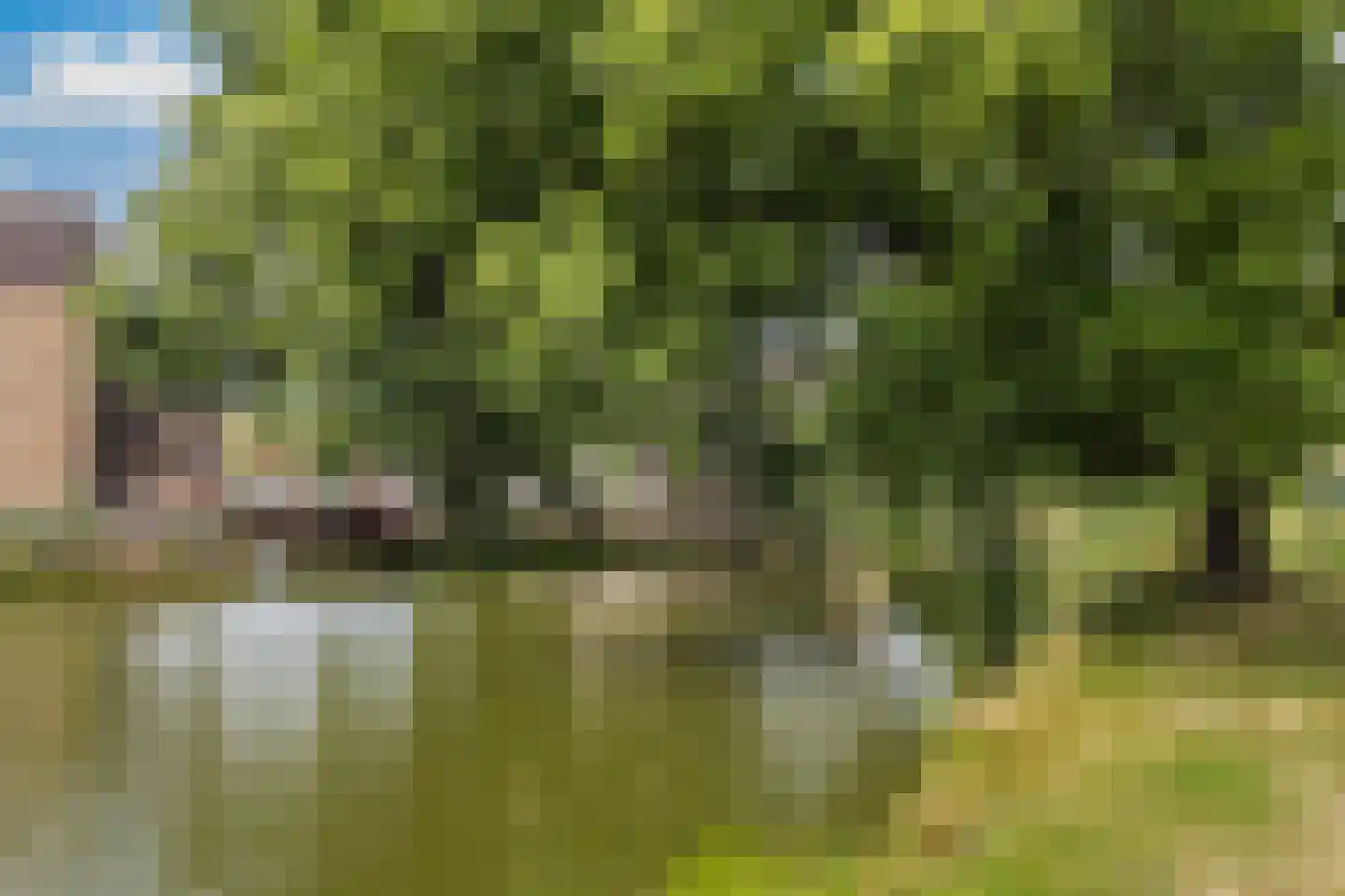 Dotterbloemlaan 11 Baarn thumbnail 33