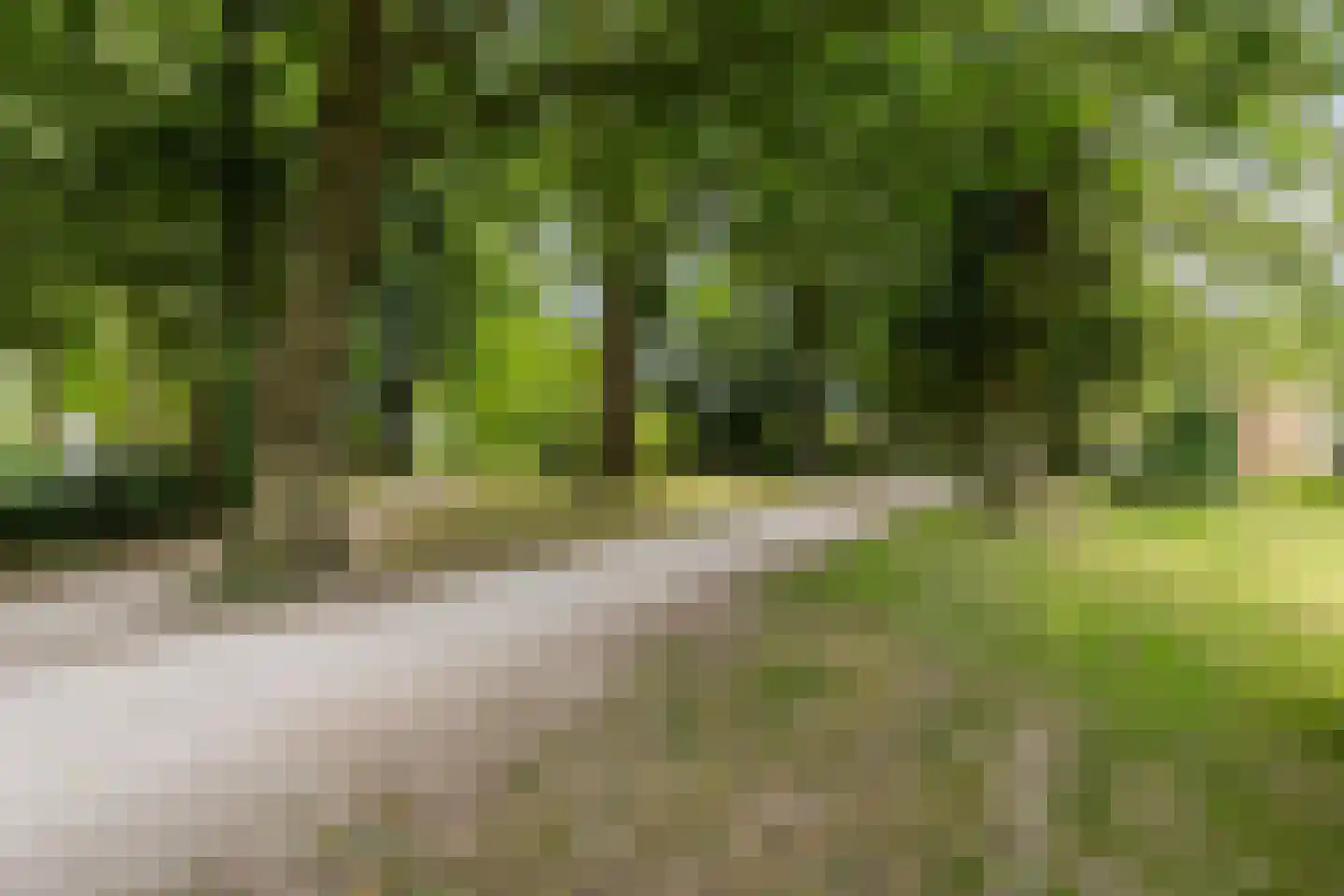 Dotterbloemlaan 11 Baarn thumbnail 34