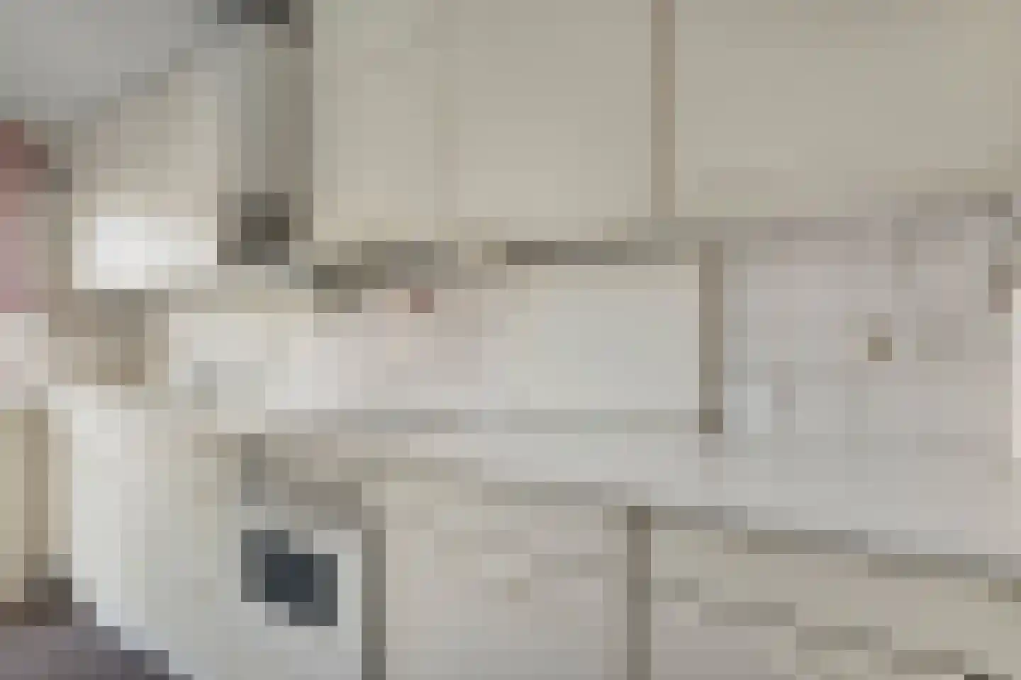 Dotterbloemlaan 20 Den Haag thumbnail 16
