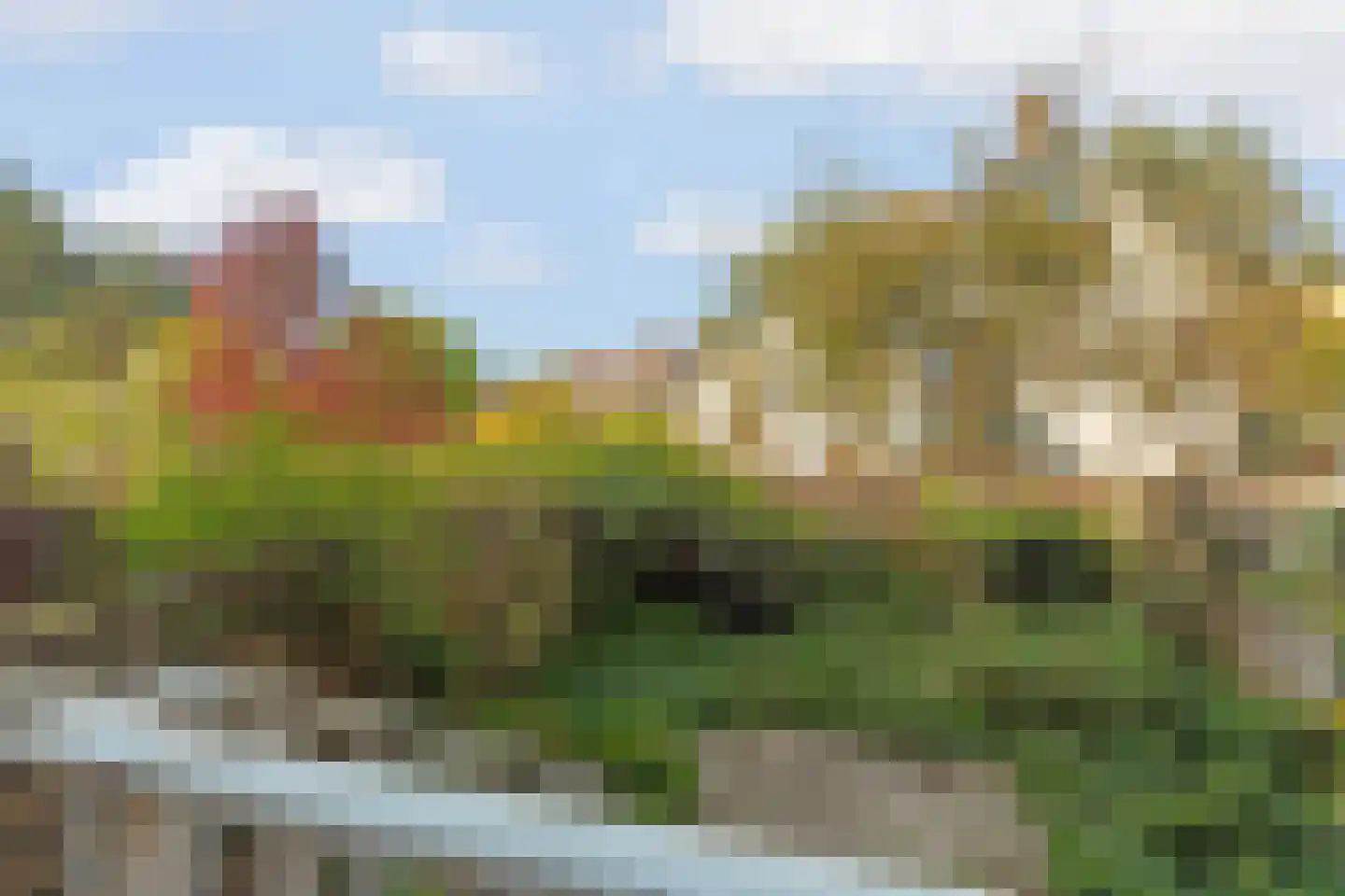 Dotterbloemlaan 20 Den Haag thumbnail 19