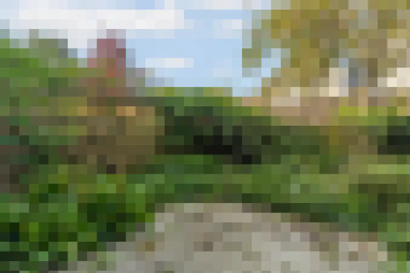 Dotterbloemlaan 20 Den Haag thumbnail 25