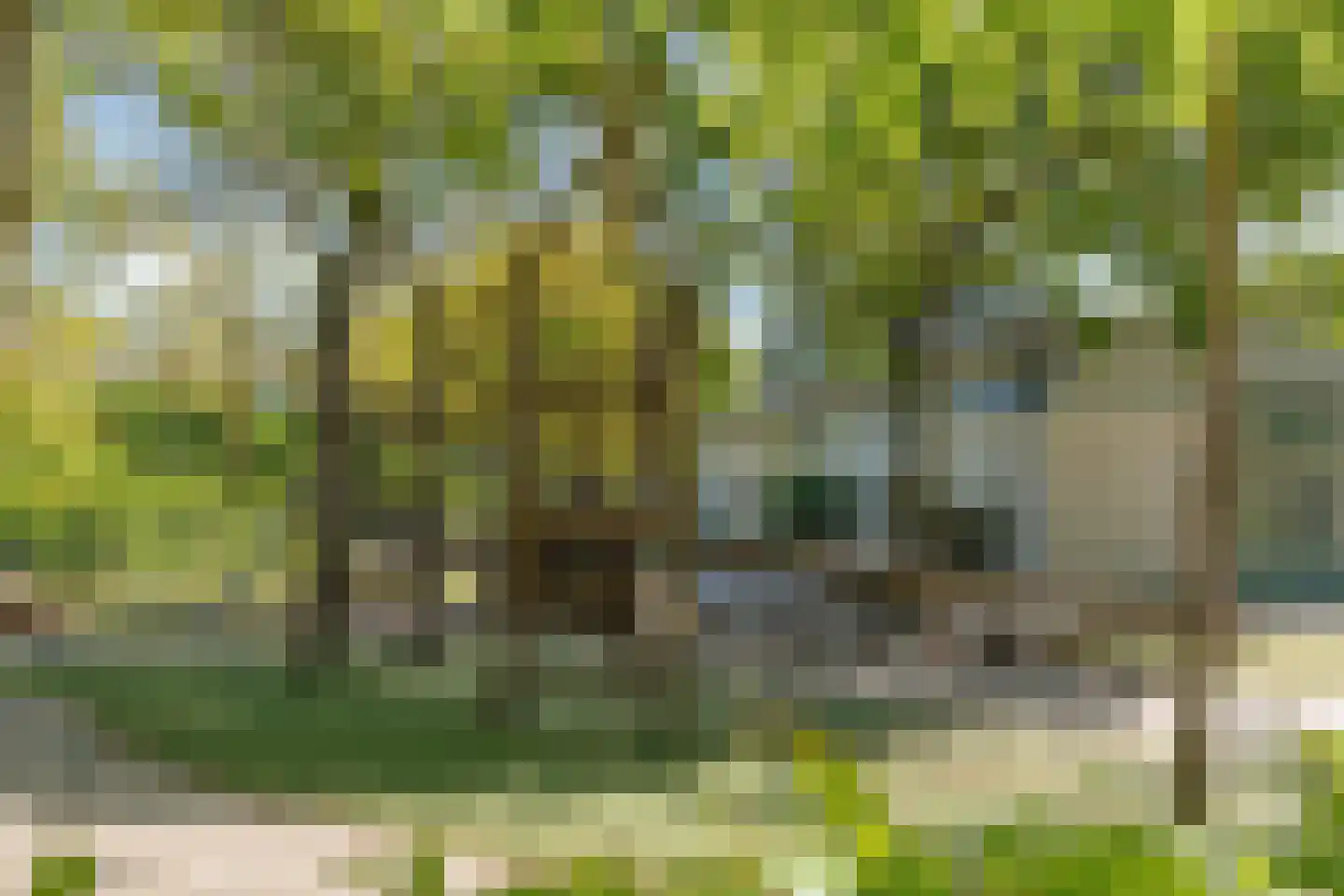 Dotterbloemlaan 20 Den Haag thumbnail 35