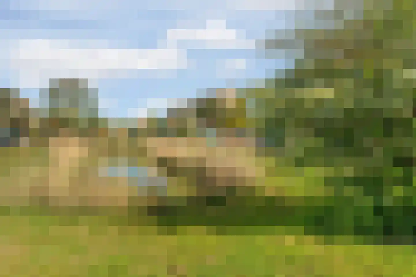 Dotterbloemlaan 20 Den Haag thumbnail 36
