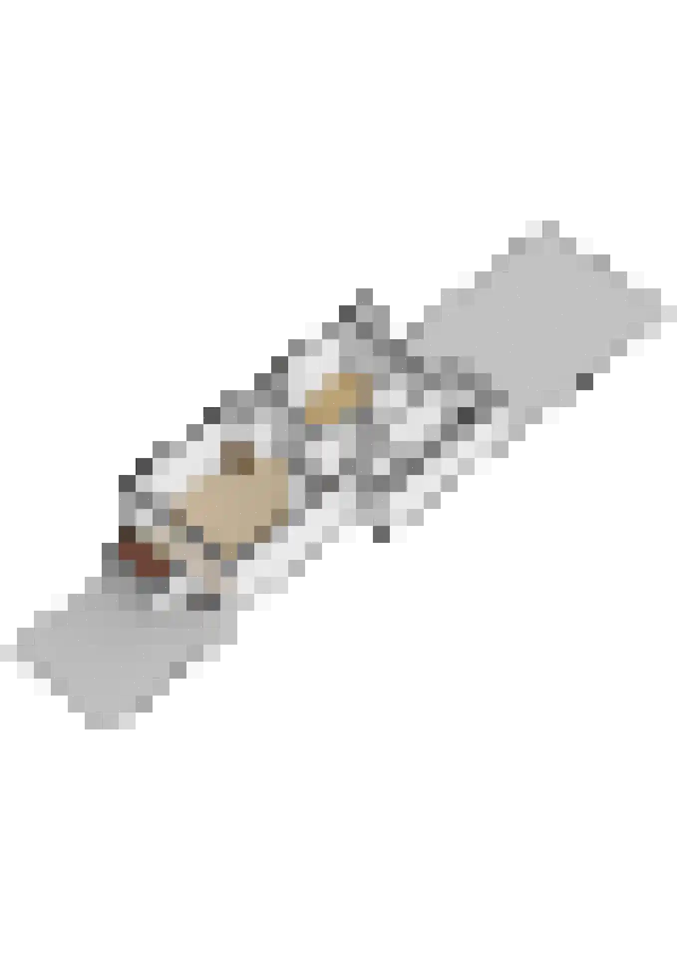 Dotterbloemlaan 20 Den Haag thumbnail 43
