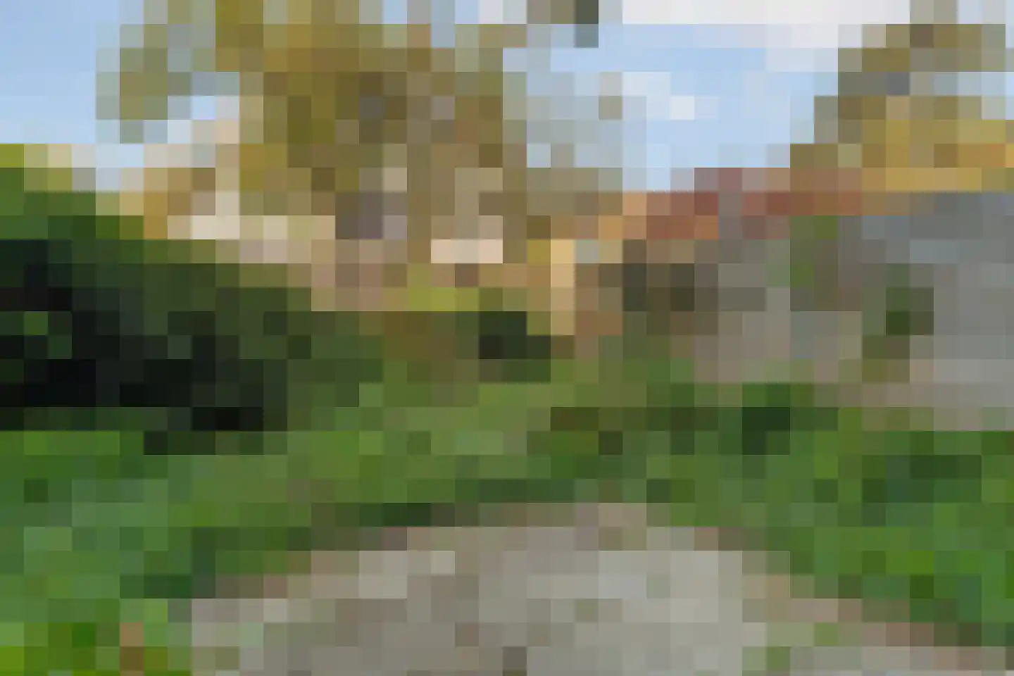 Dotterbloemlaan 20 Den Haag thumbnail 5