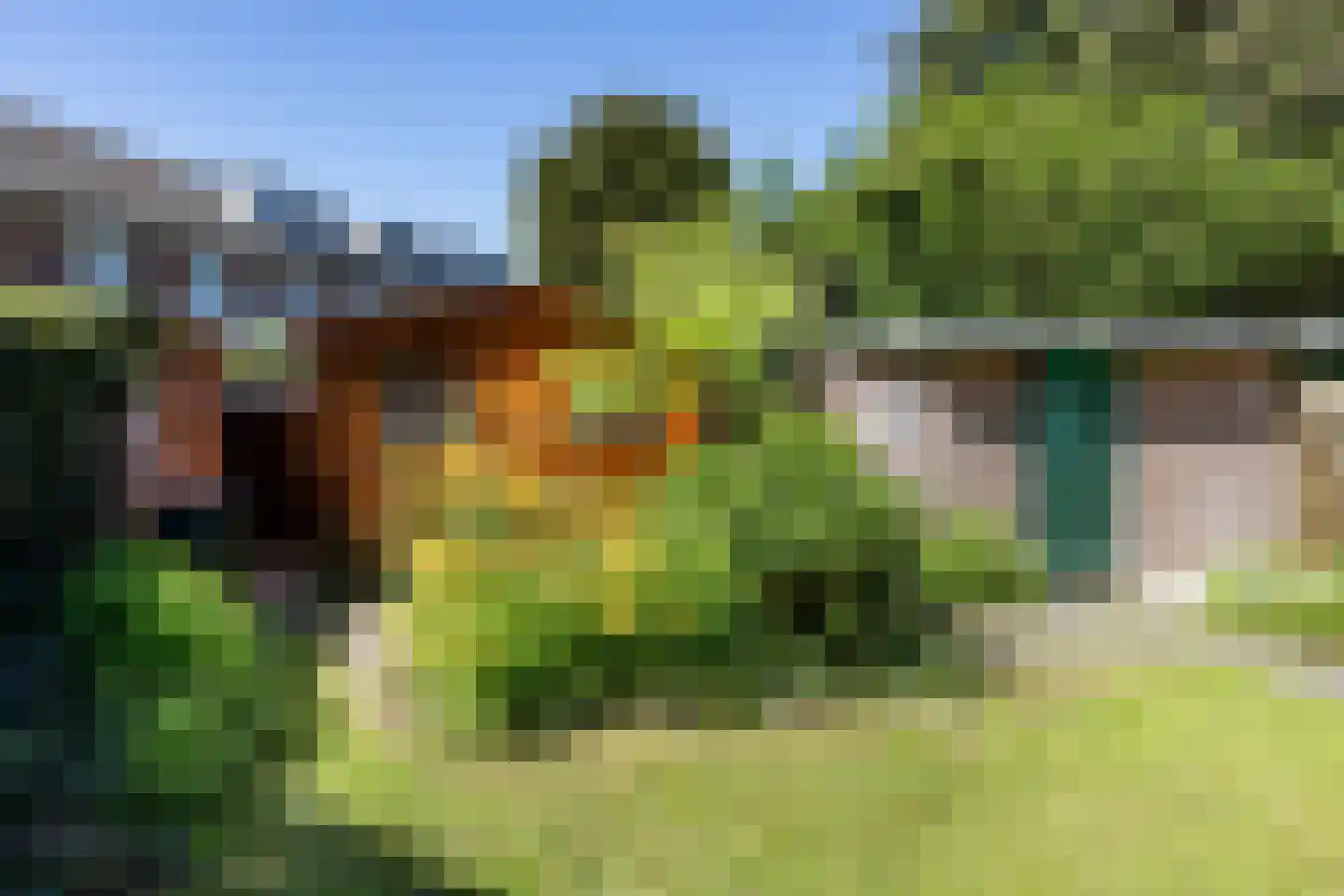 Dotterbloemlaan 22 Baarn thumbnail 10