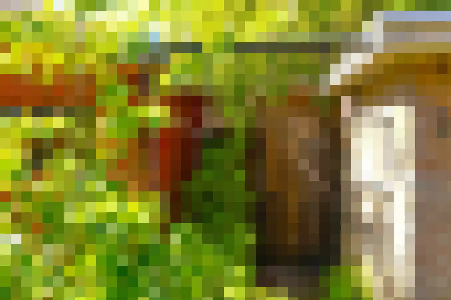 Dotterbloemlaan 22 Baarn thumbnail 11
