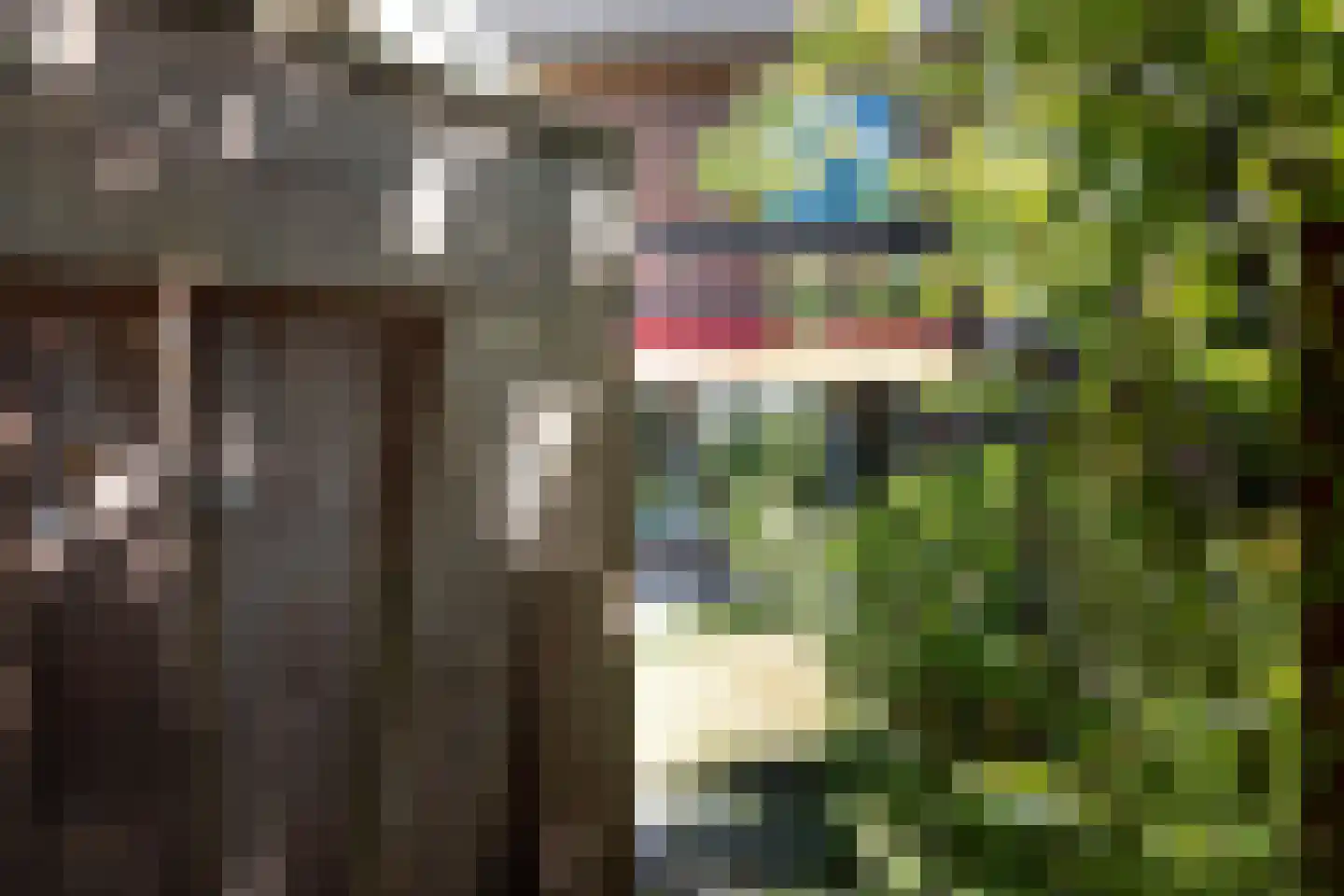 Dotterbloemlaan 22 Baarn thumbnail 12