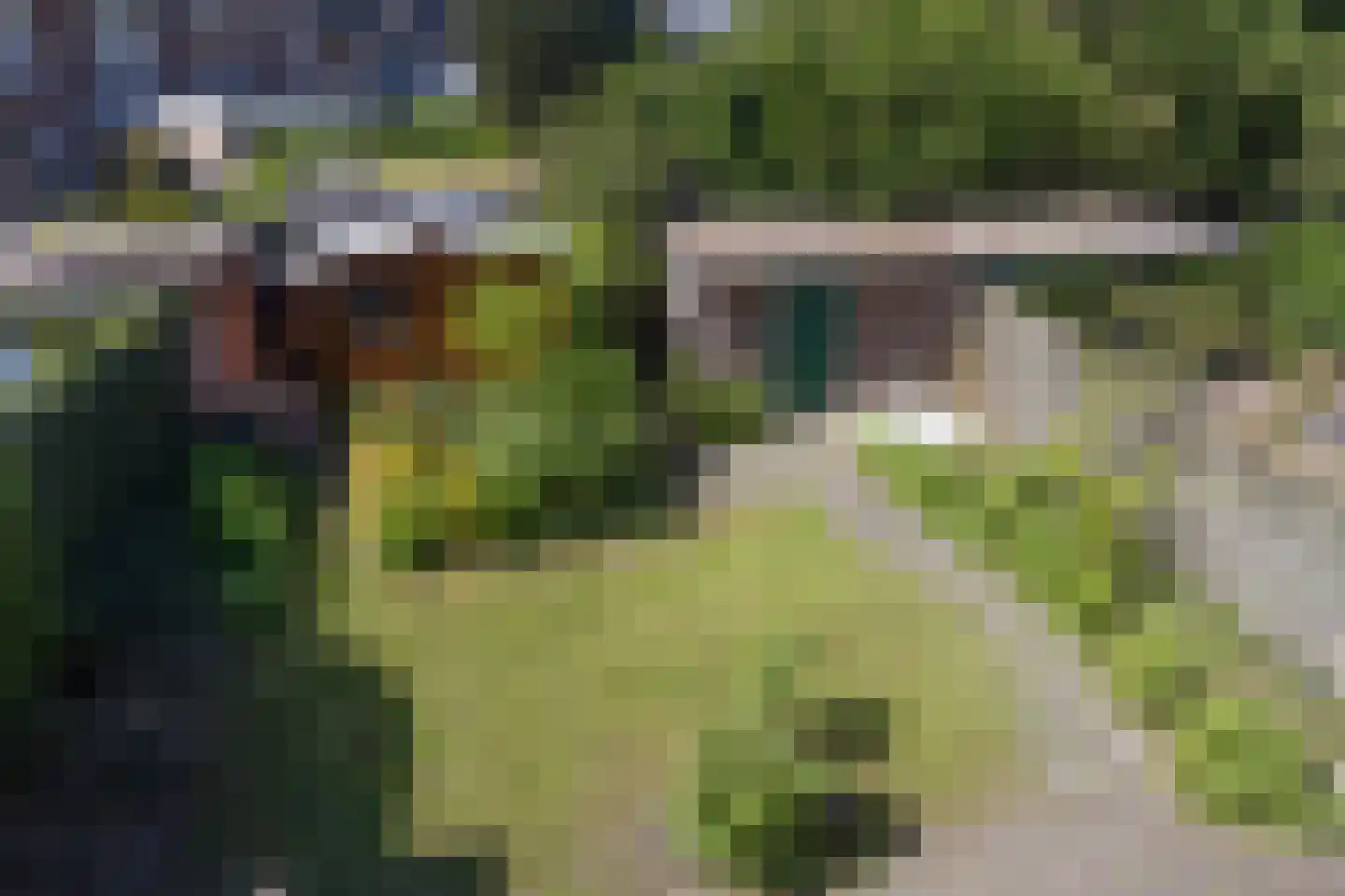 Dotterbloemlaan 22 Baarn thumbnail 26