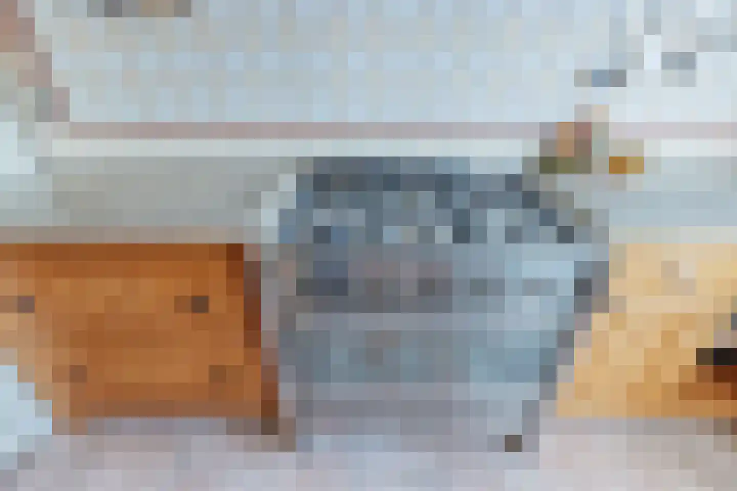 Dotterbloemlaan 27 Den Haag thumbnail 15