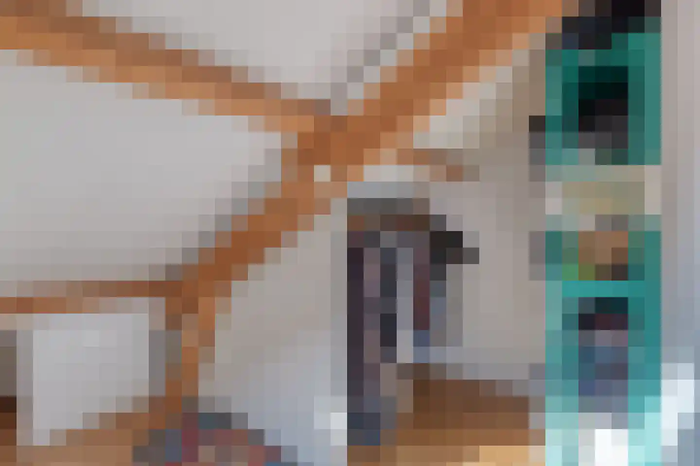 Dotterbloemlaan 27 Den Haag thumbnail 27