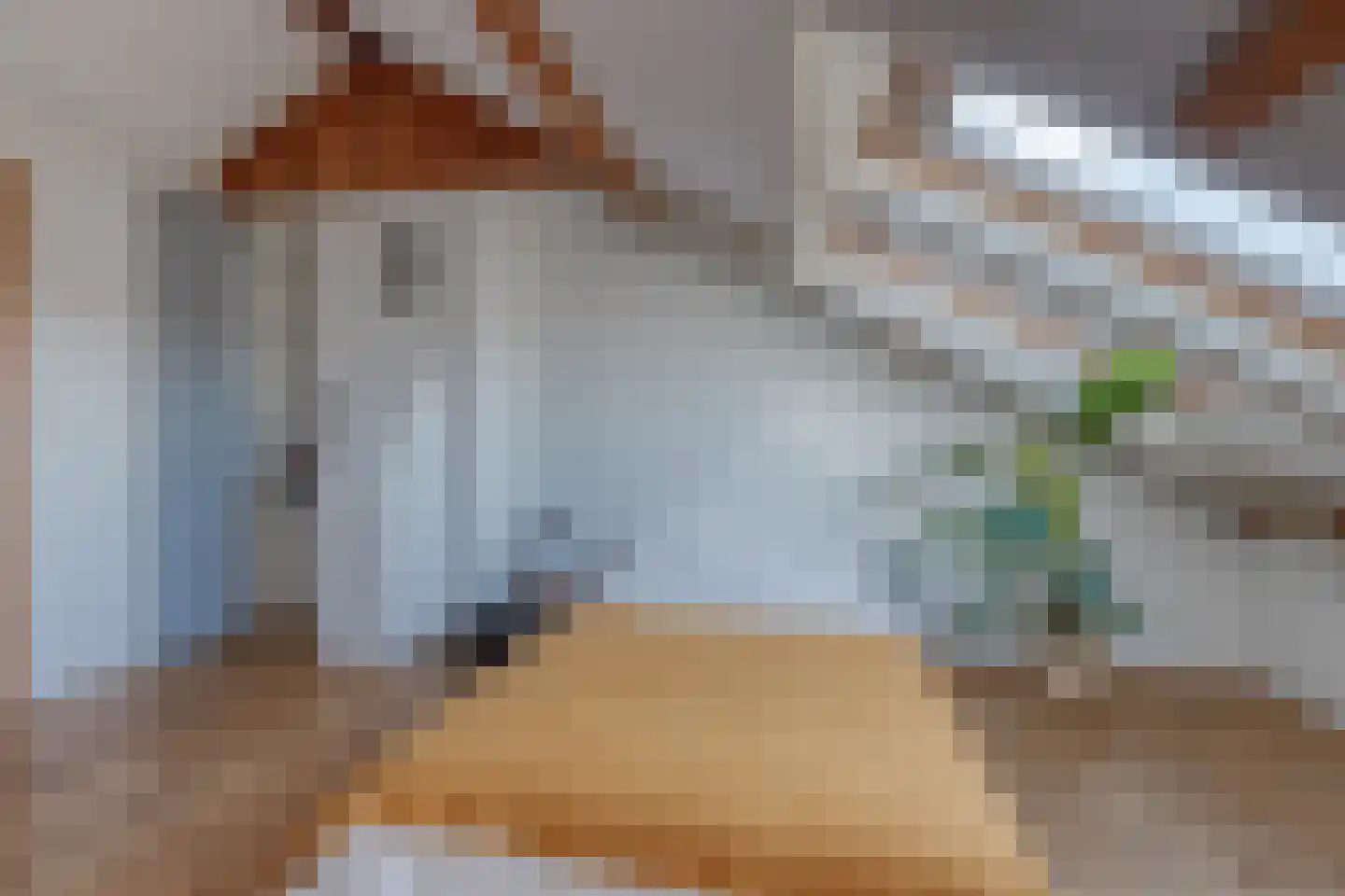 Dotterbloemlaan 27 Den Haag thumbnail 28