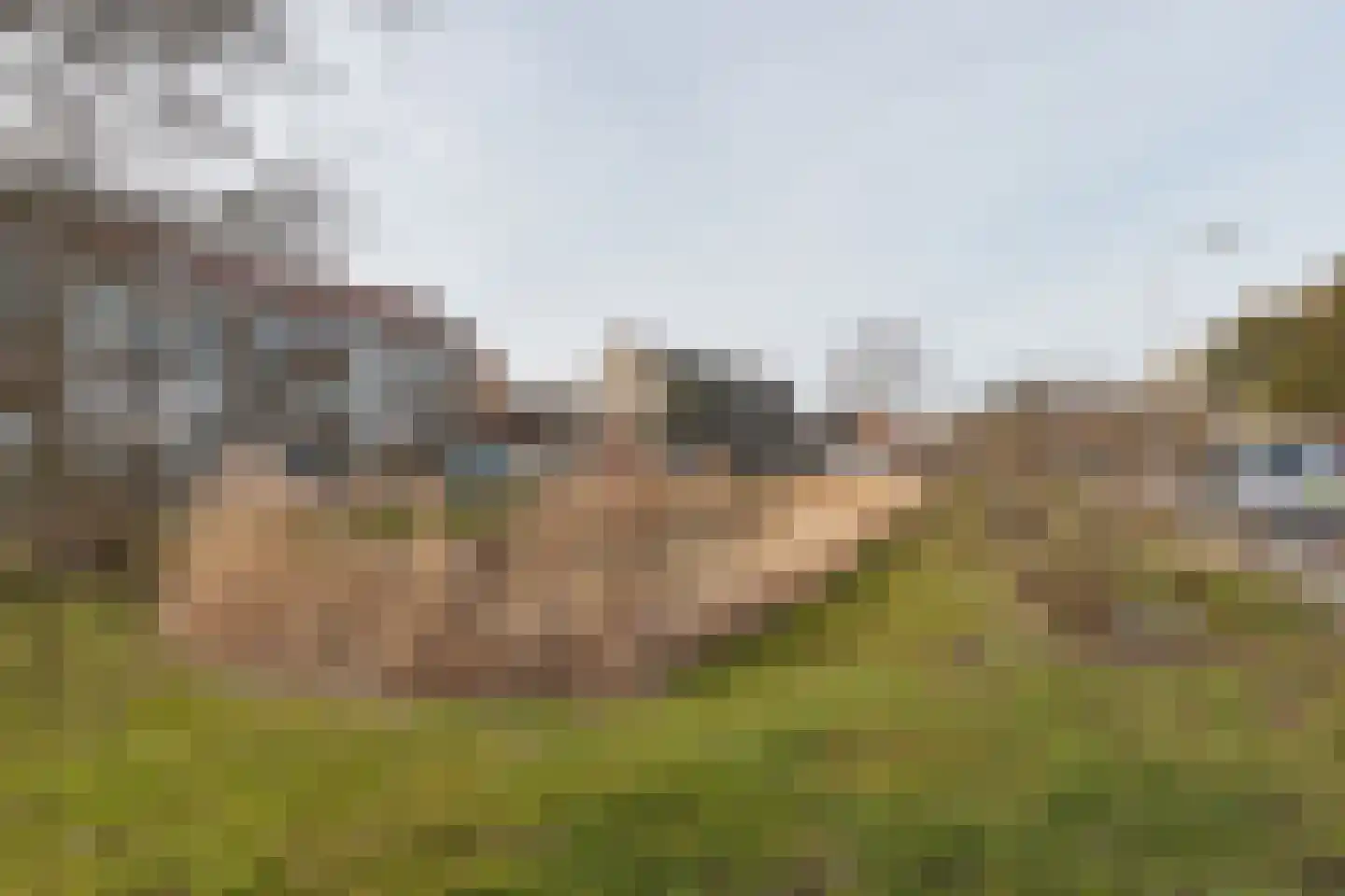 Dotterbloemlaan 27 Den Haag thumbnail 33