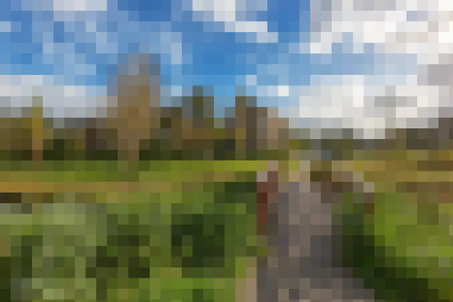 Dotterbloemlaan 27 Den Haag thumbnail 34