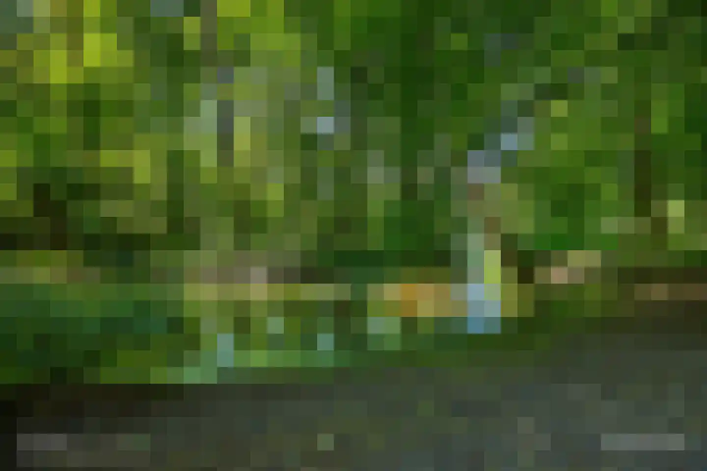Dotterbloemlaan 27 Den Haag thumbnail 37