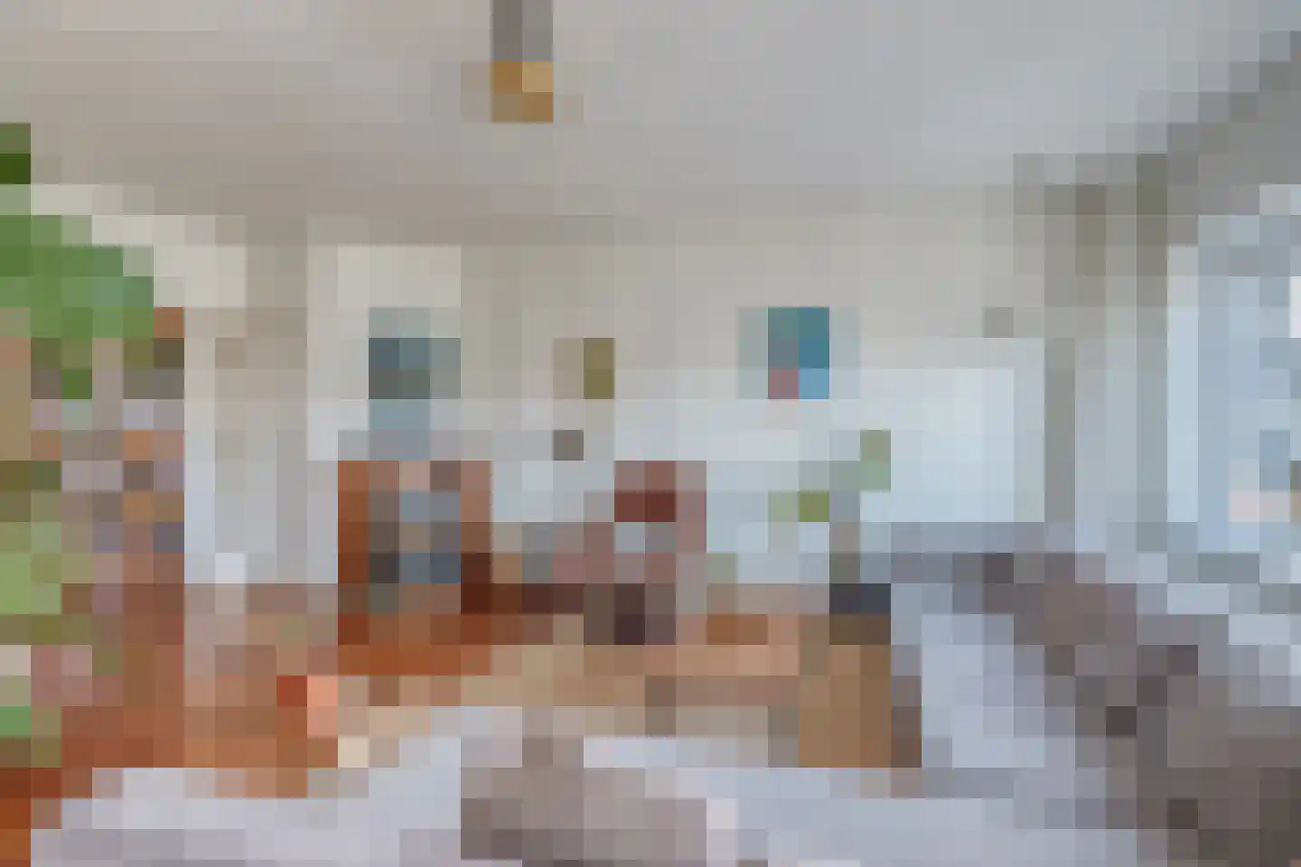 Dotterbloemlaan 27 Den Haag thumbnail 8