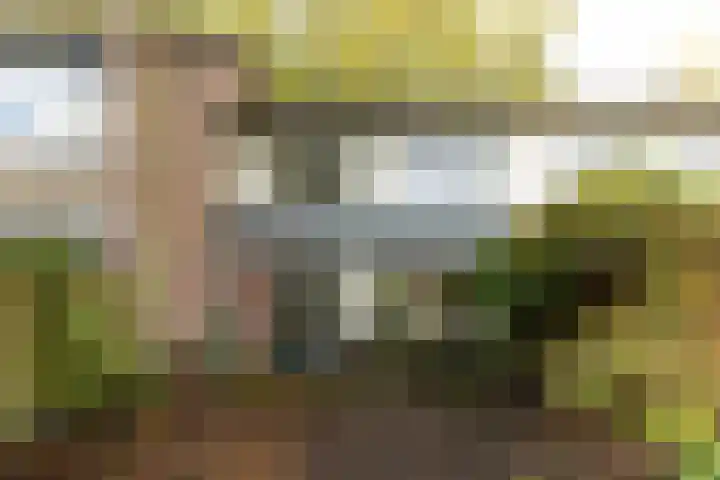 Dotterbloemlaan 35 Baarn thumbnail 25