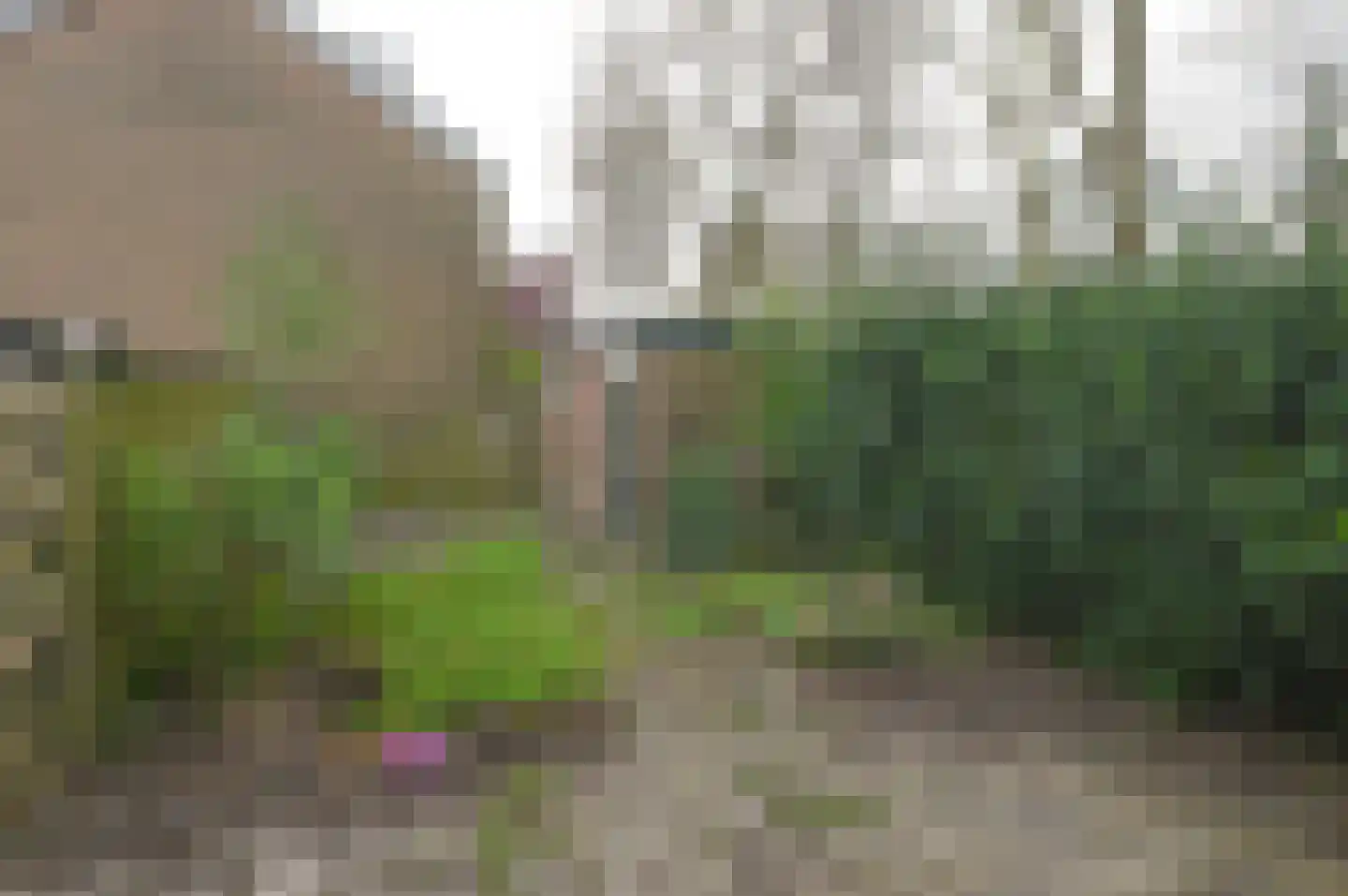 Dotterbloemlaan 57 Baarn thumbnail 13