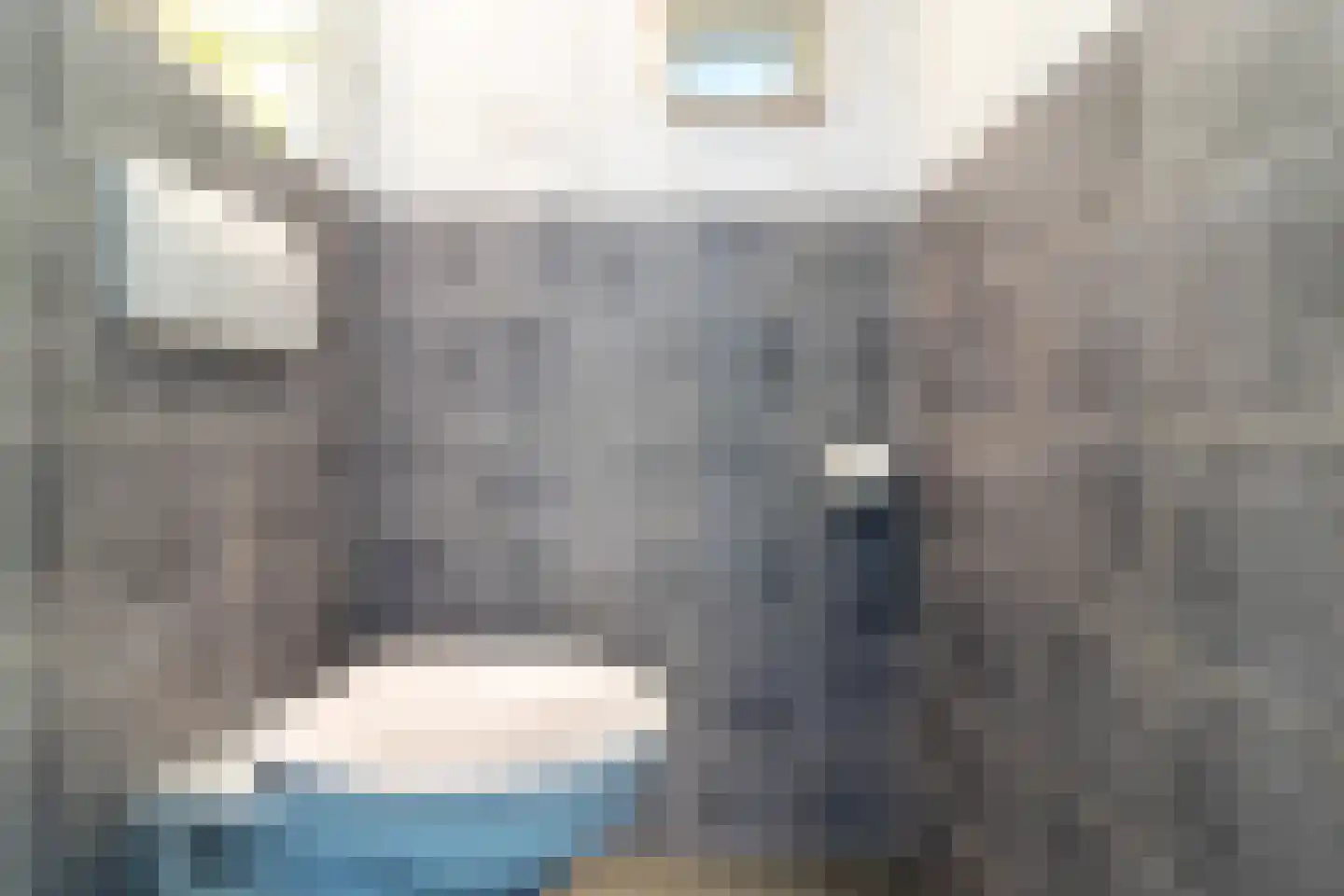 Dotterbloemlaan 8 Baarn thumbnail 9