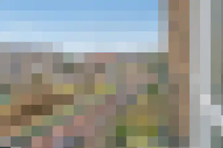 Dotterbloemlaan 80 Den Haag thumbnail 18