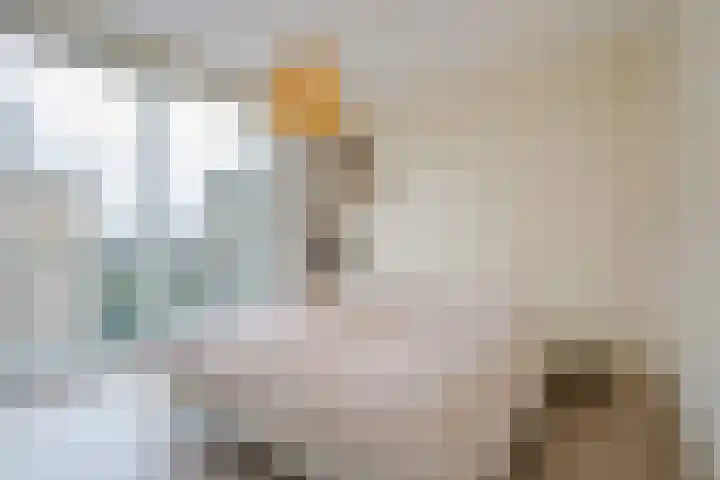 Dotterbloemlaan 80 Den Haag thumbnail 28