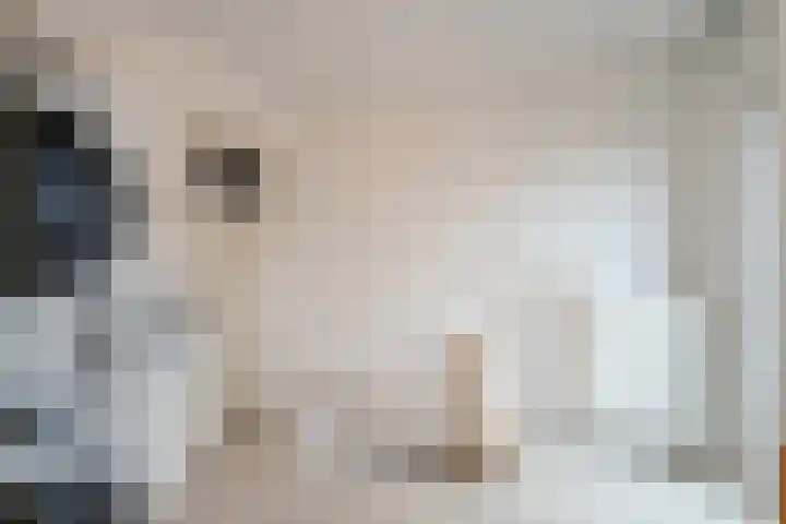 Dotterbloemlaan 80 Den Haag thumbnail 35