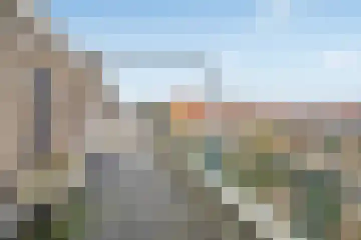 Dotterbloemlaan 80 Den Haag thumbnail 37