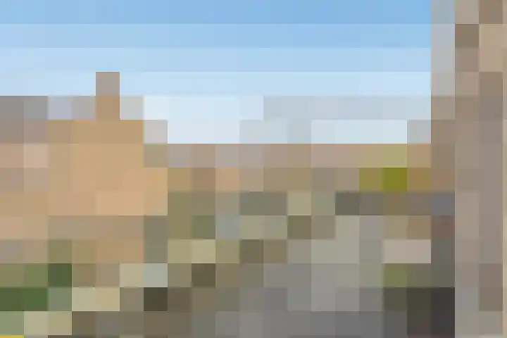 Dotterbloemlaan 80 Den Haag thumbnail 38