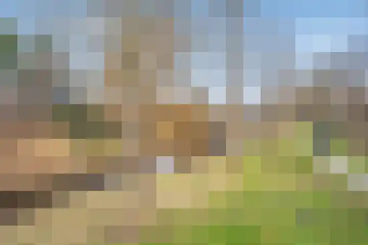 Dotterbloemlaan 80 Den Haag thumbnail 44