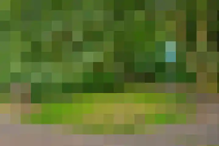 Dotterbloemlaan 80 Den Haag thumbnail 45