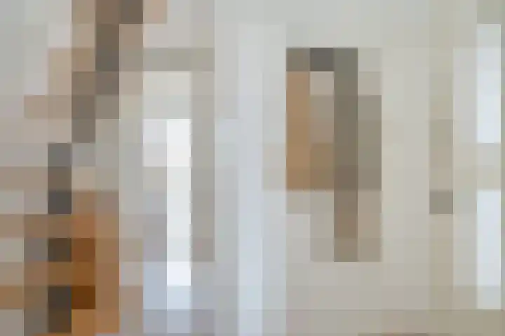 Dotterbloemlaan 80 Den Haag thumbnail 7