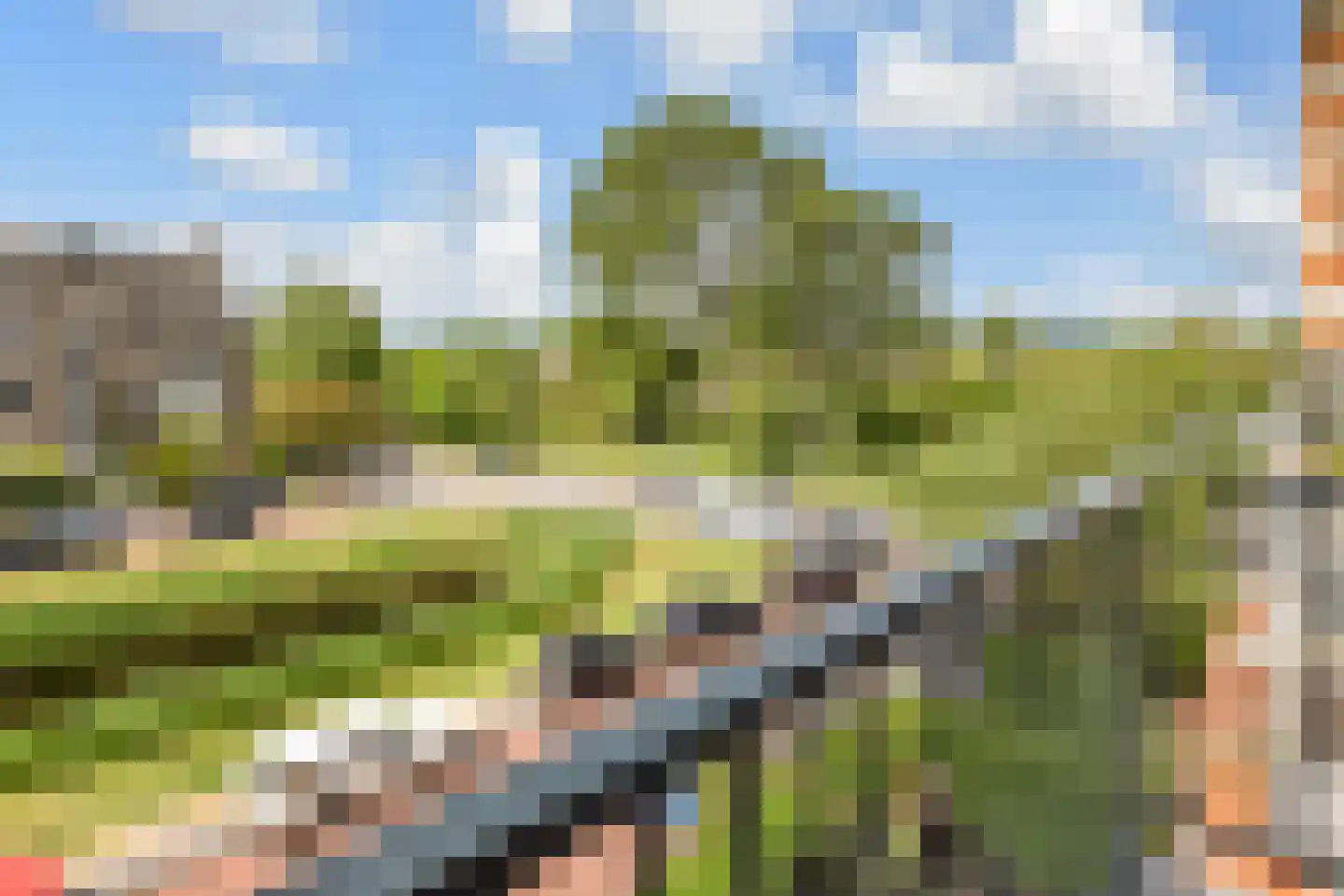 Dotterbloemlaan 83 Den Haag thumbnail 13