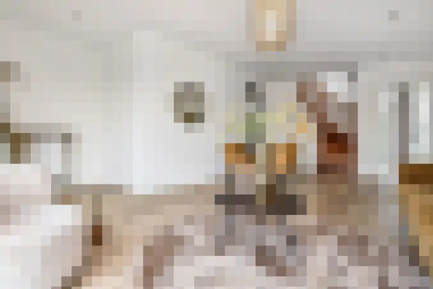 Dotterbloemlaan 83 Den Haag thumbnail 16