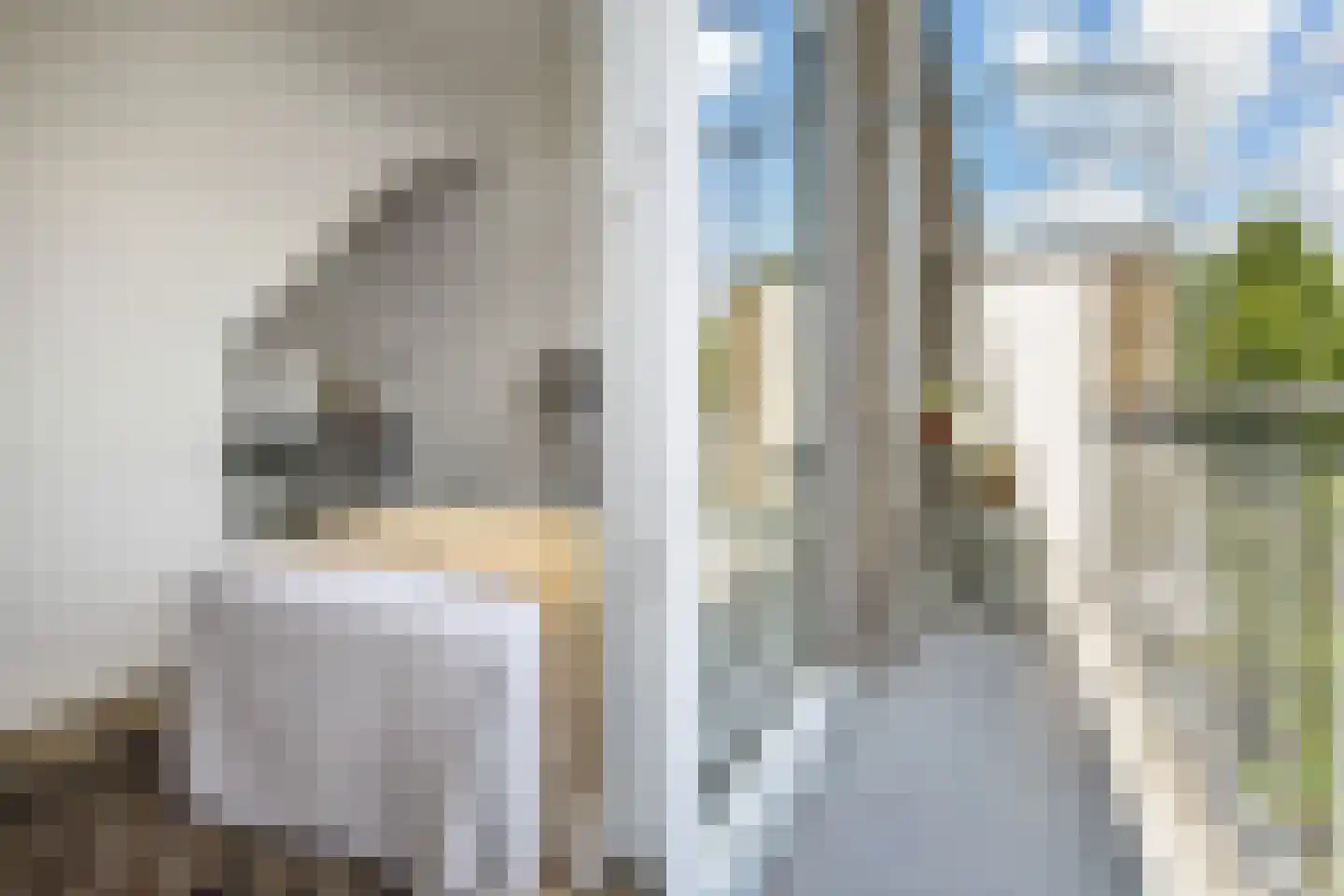 Dotterbloemlaan 83 Den Haag thumbnail 19