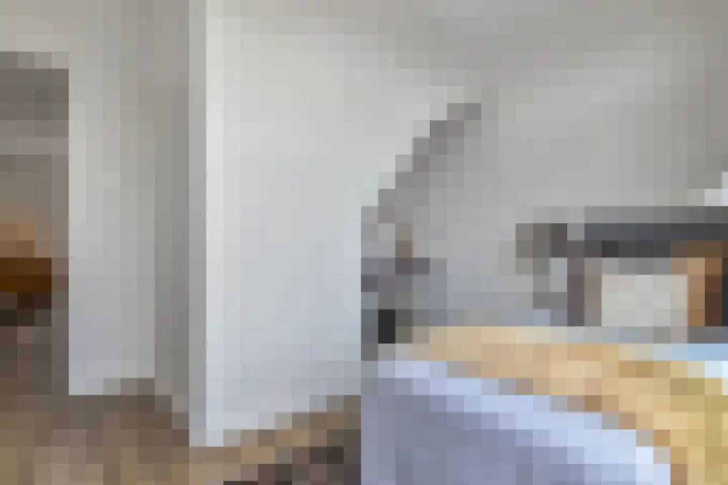 Dotterbloemlaan 83 Den Haag thumbnail 22