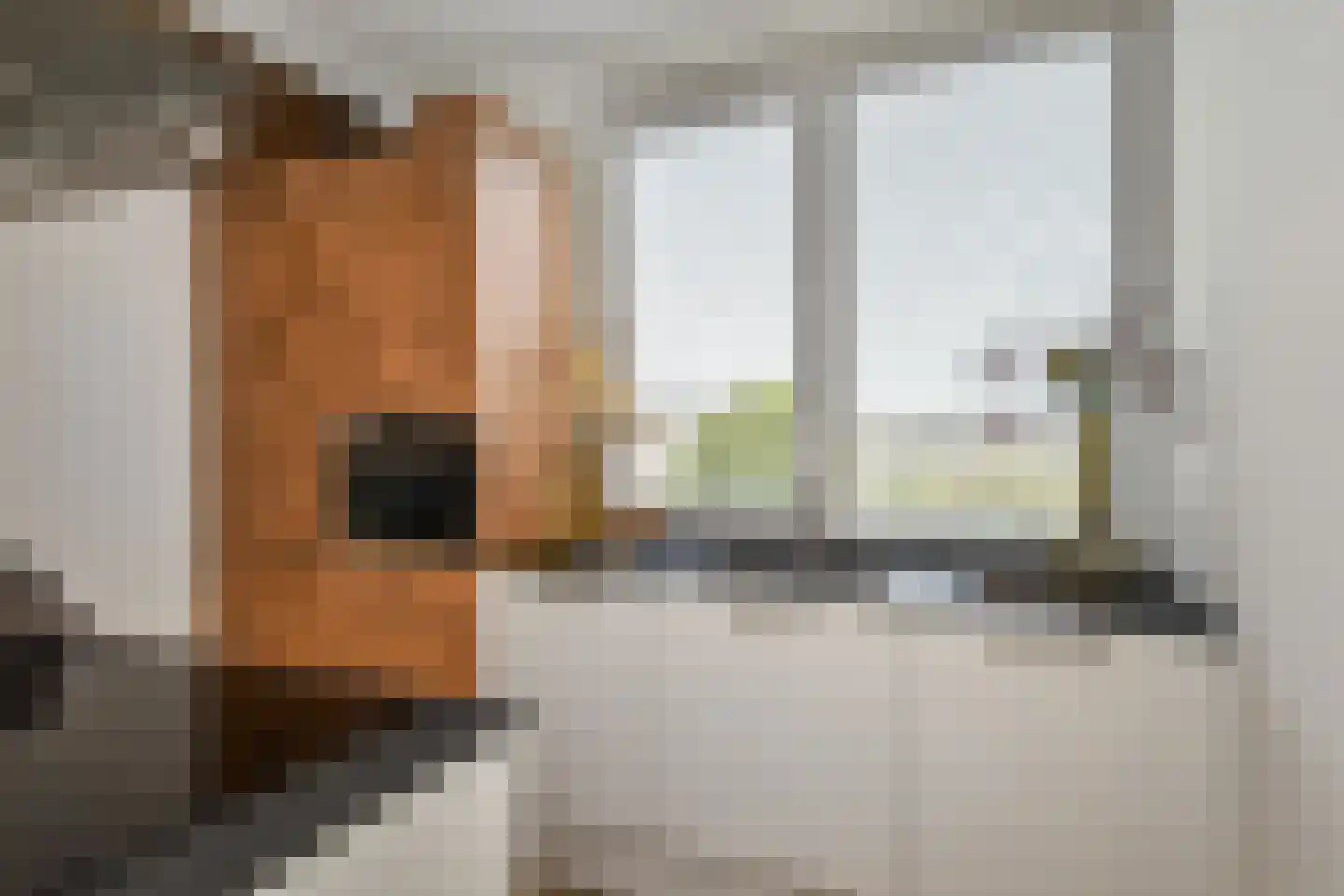 Dotterbloemlaan 83 Den Haag thumbnail 26