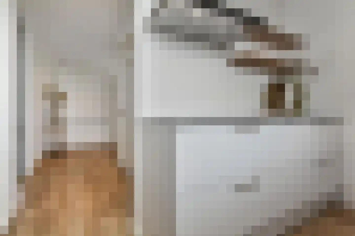 Dotterbloemlaan 83 Den Haag thumbnail 28
