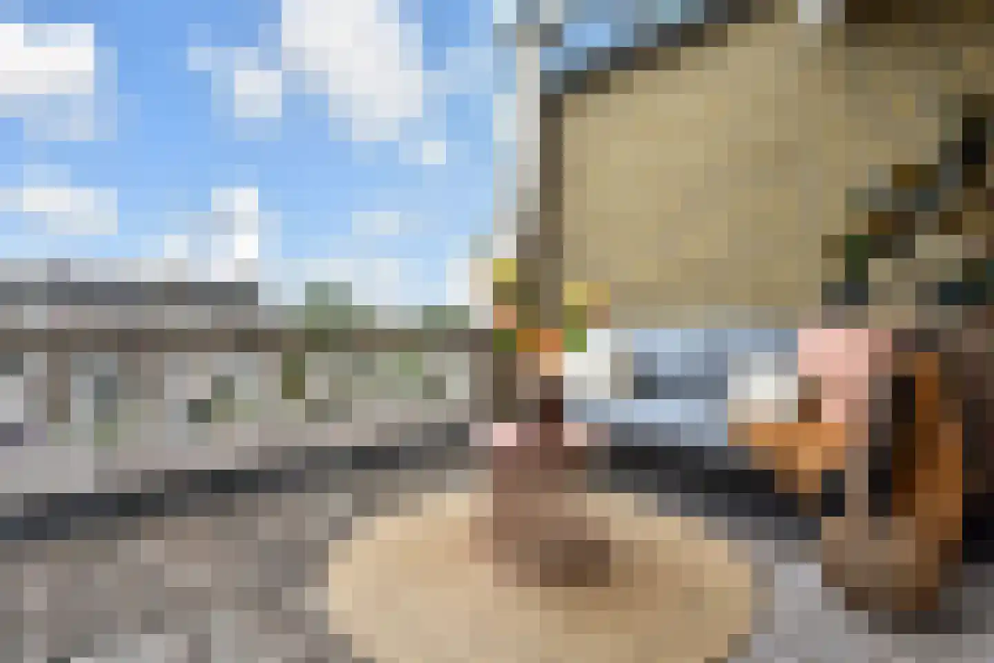 Dotterbloemlaan 83 Den Haag thumbnail 33