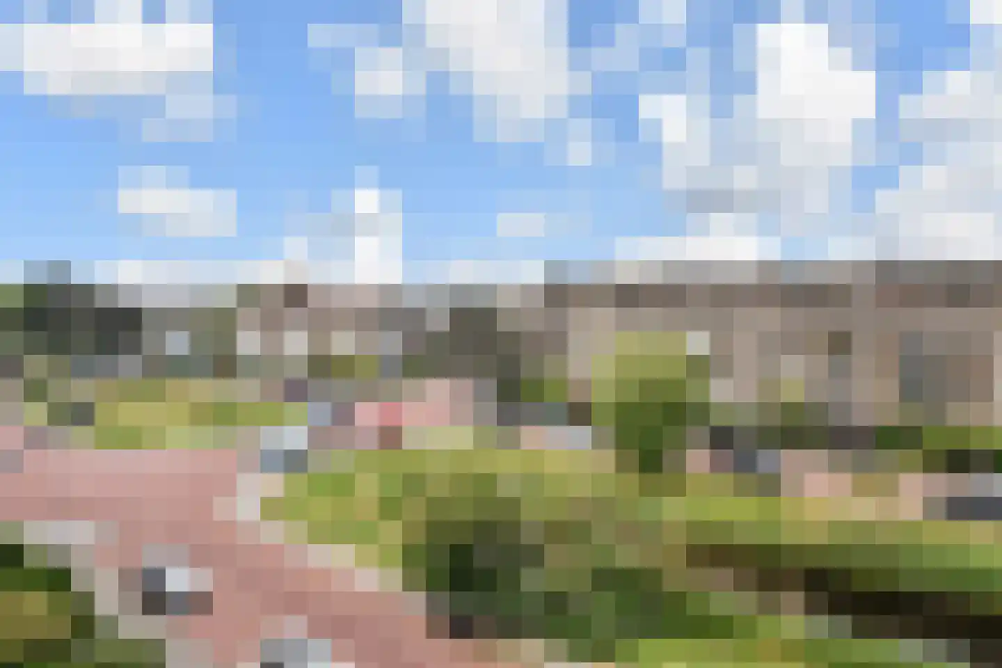 Dotterbloemlaan 83 Den Haag thumbnail 35