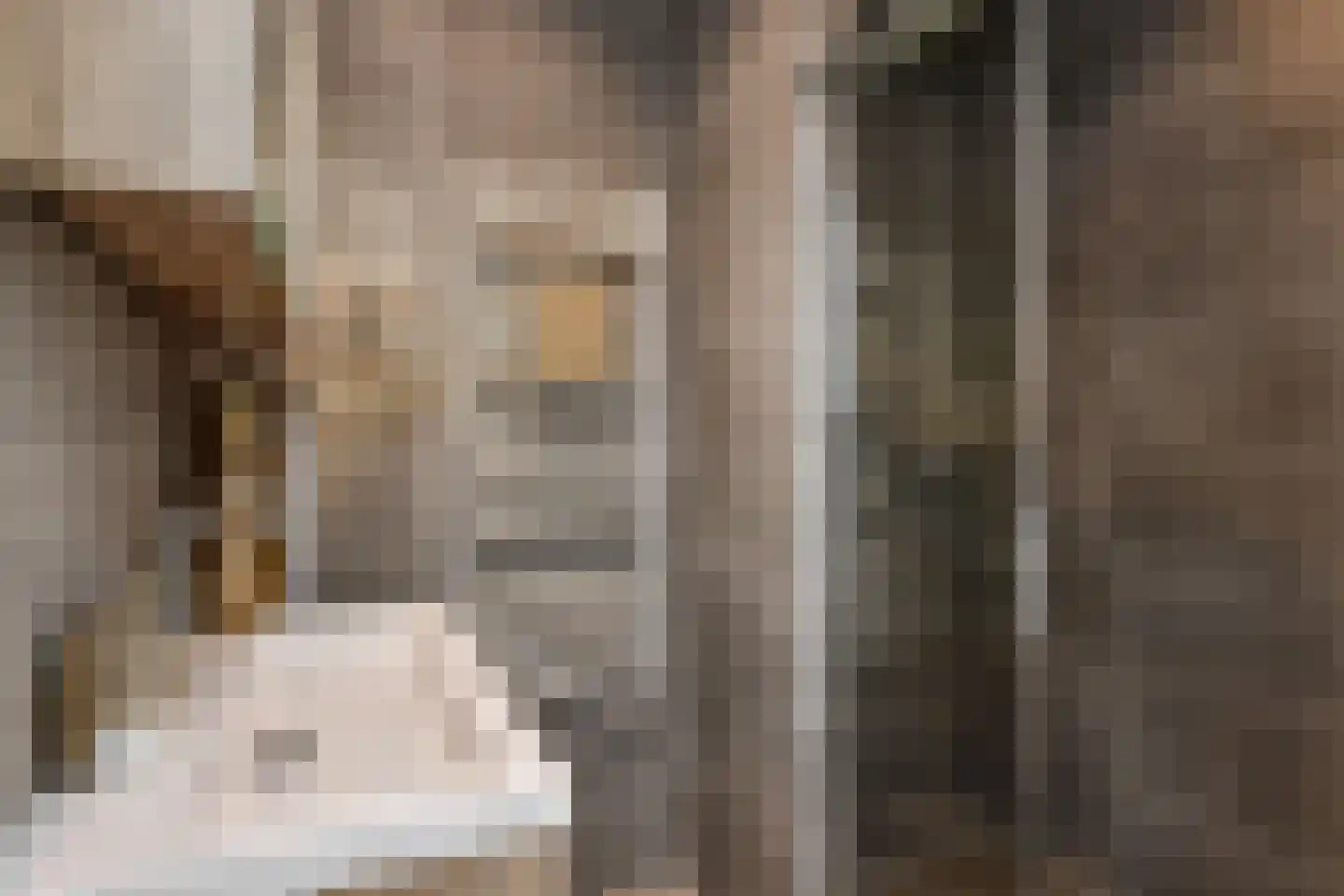 Dotterbloemlaan 83 Den Haag thumbnail 40