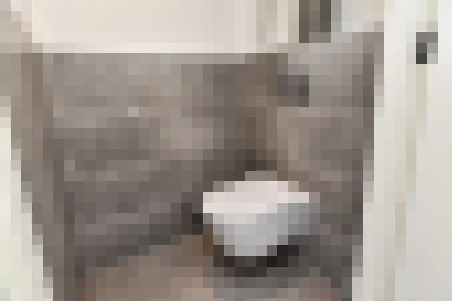 Dotterbloemlaan 83 Den Haag thumbnail 41