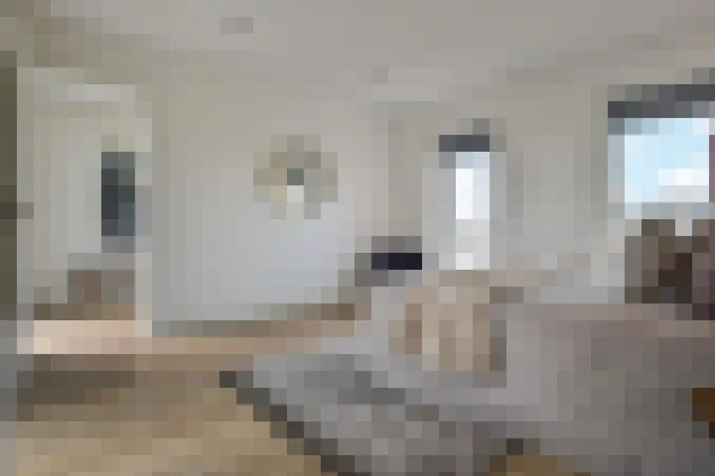 Dotterbloemlaan 83 Den Haag thumbnail 42
