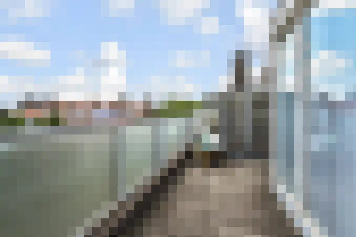 Dotterbloemlaan 83 Den Haag thumbnail 46